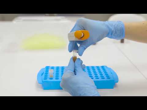 Technológia spoločnosti Glycanostics s.r.o.