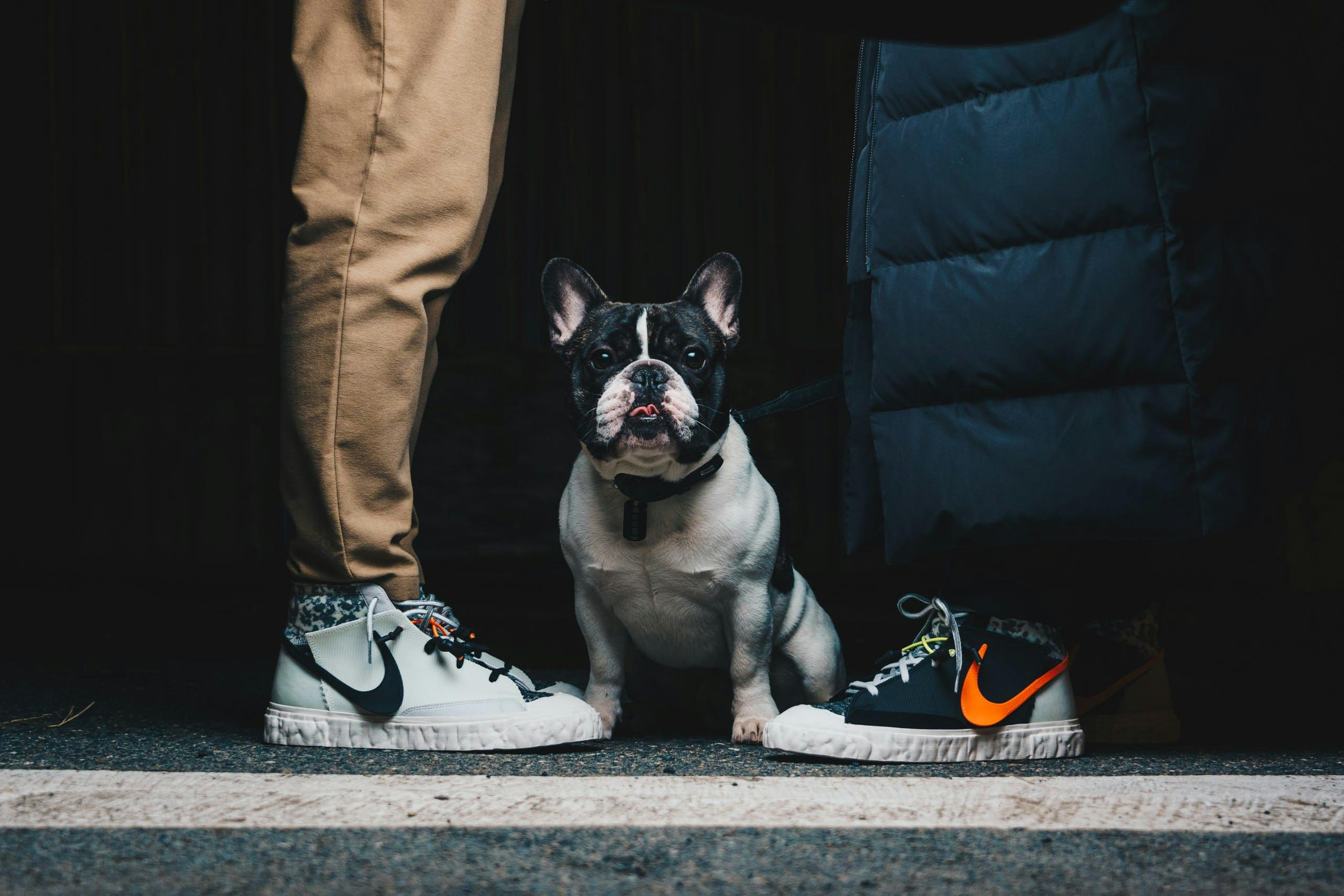 Specialised online sneaker platform FlexDog is coming to Slovakia – with help from Footshop